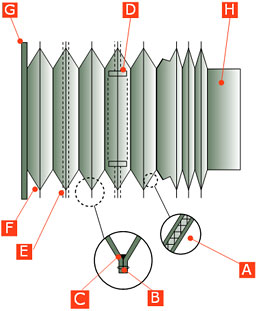 Partes del fuelle circular